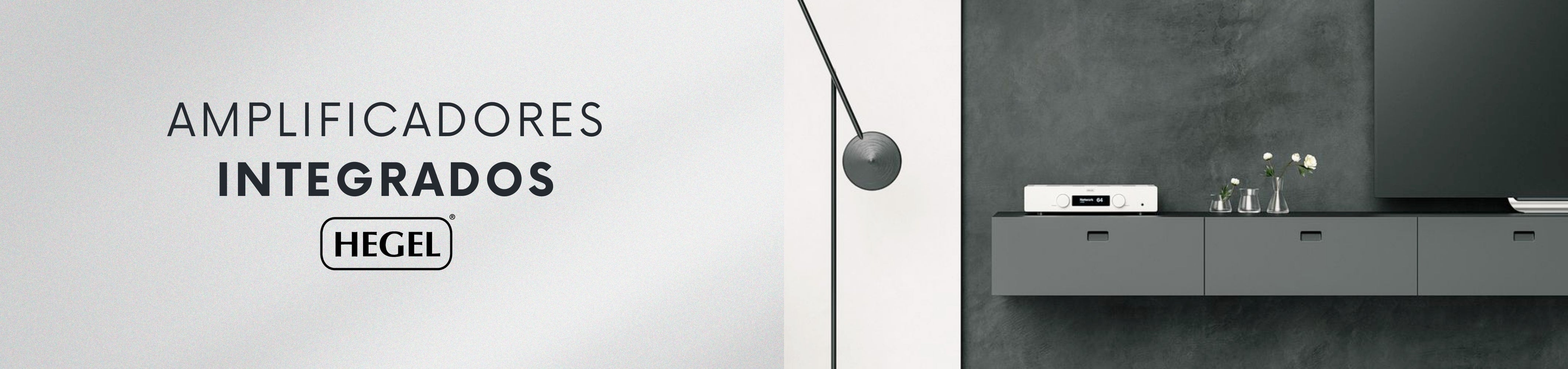 Amplificadores integrados Hegel