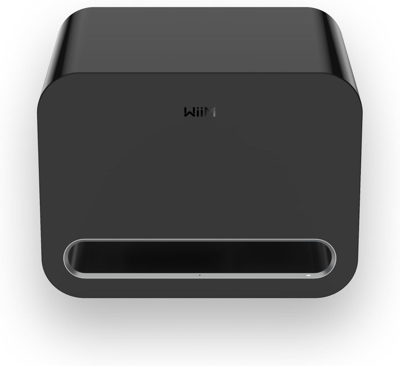 Wiim Subwoofer Pro