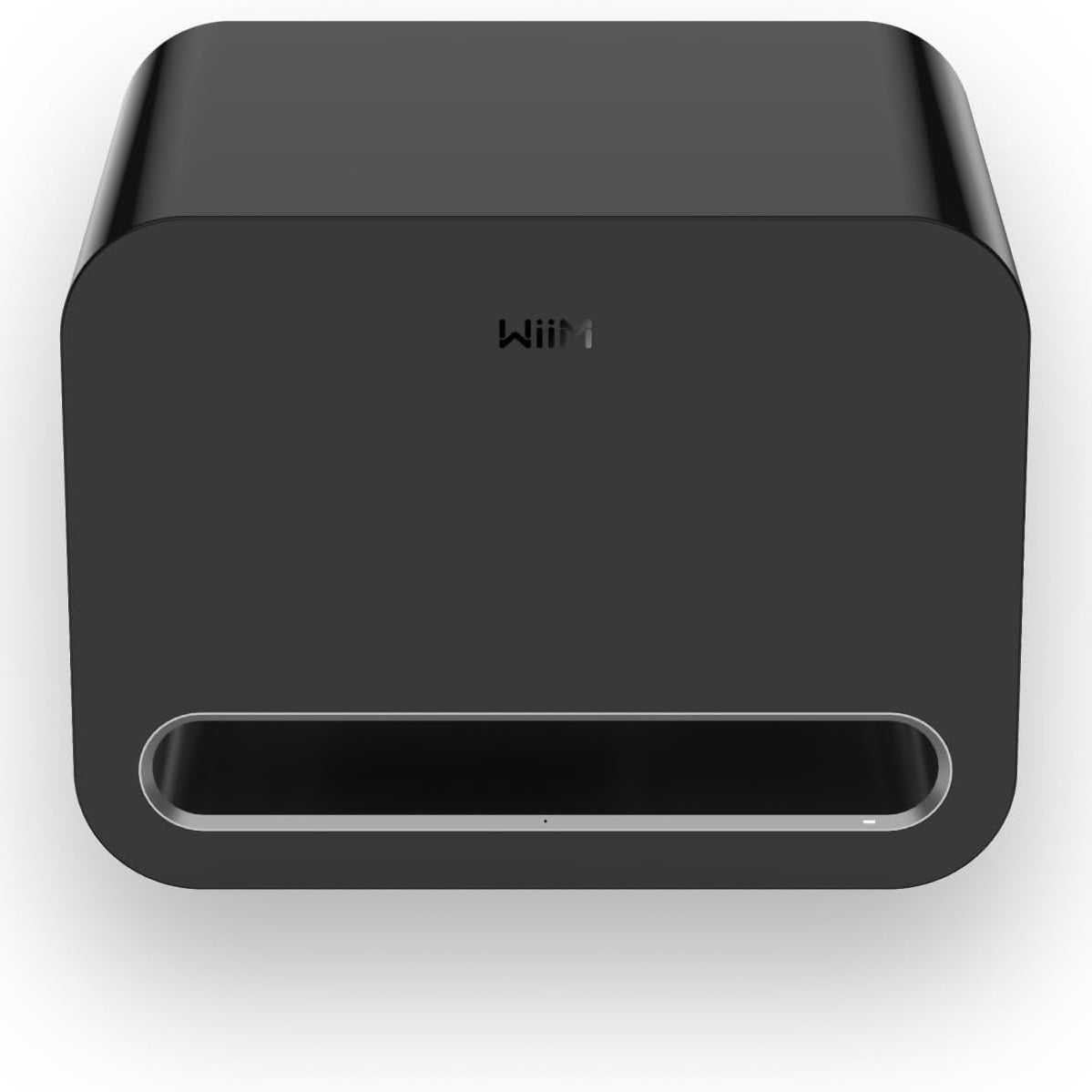 Wiim Subwoofer Pro