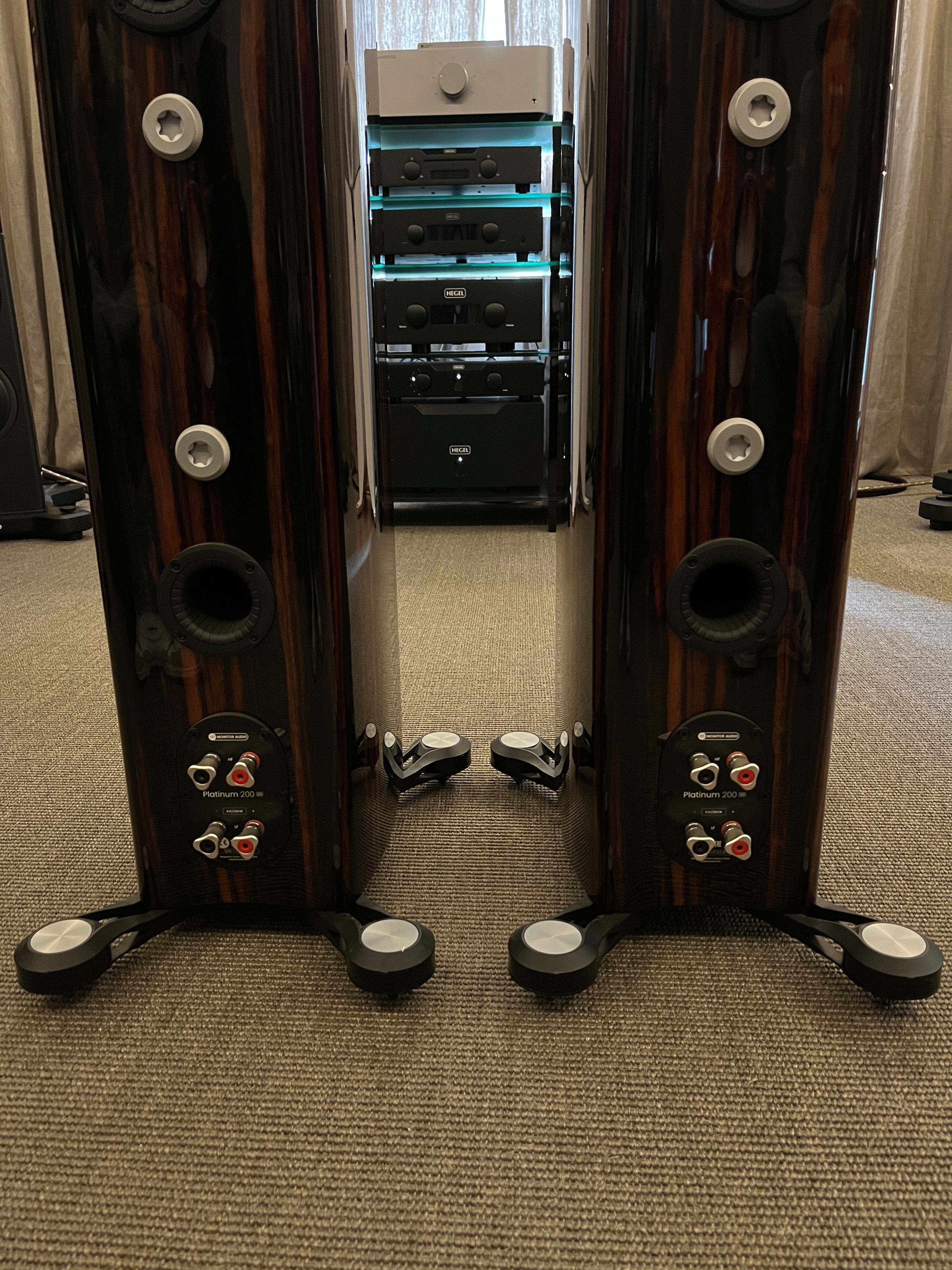 (Exhibición) Parlantes Columnas Platinum PL200 3G Monitor Audio (Par)