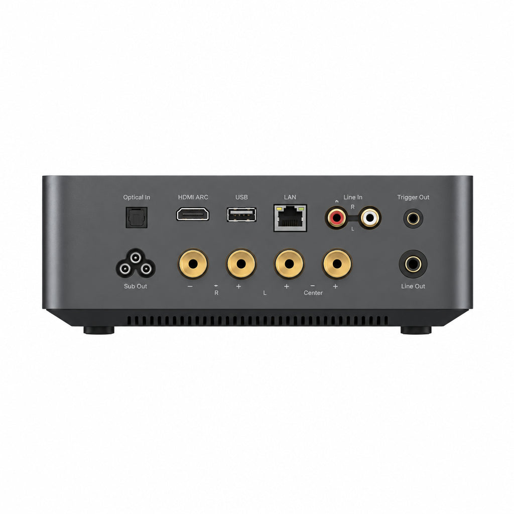Wiim Amplificador Streamer Amp Ultra