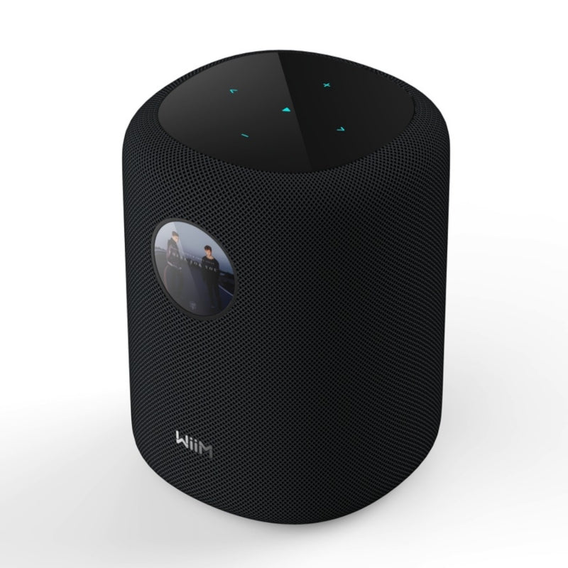 Parlante Wiim Sound Wifi Bluetooth