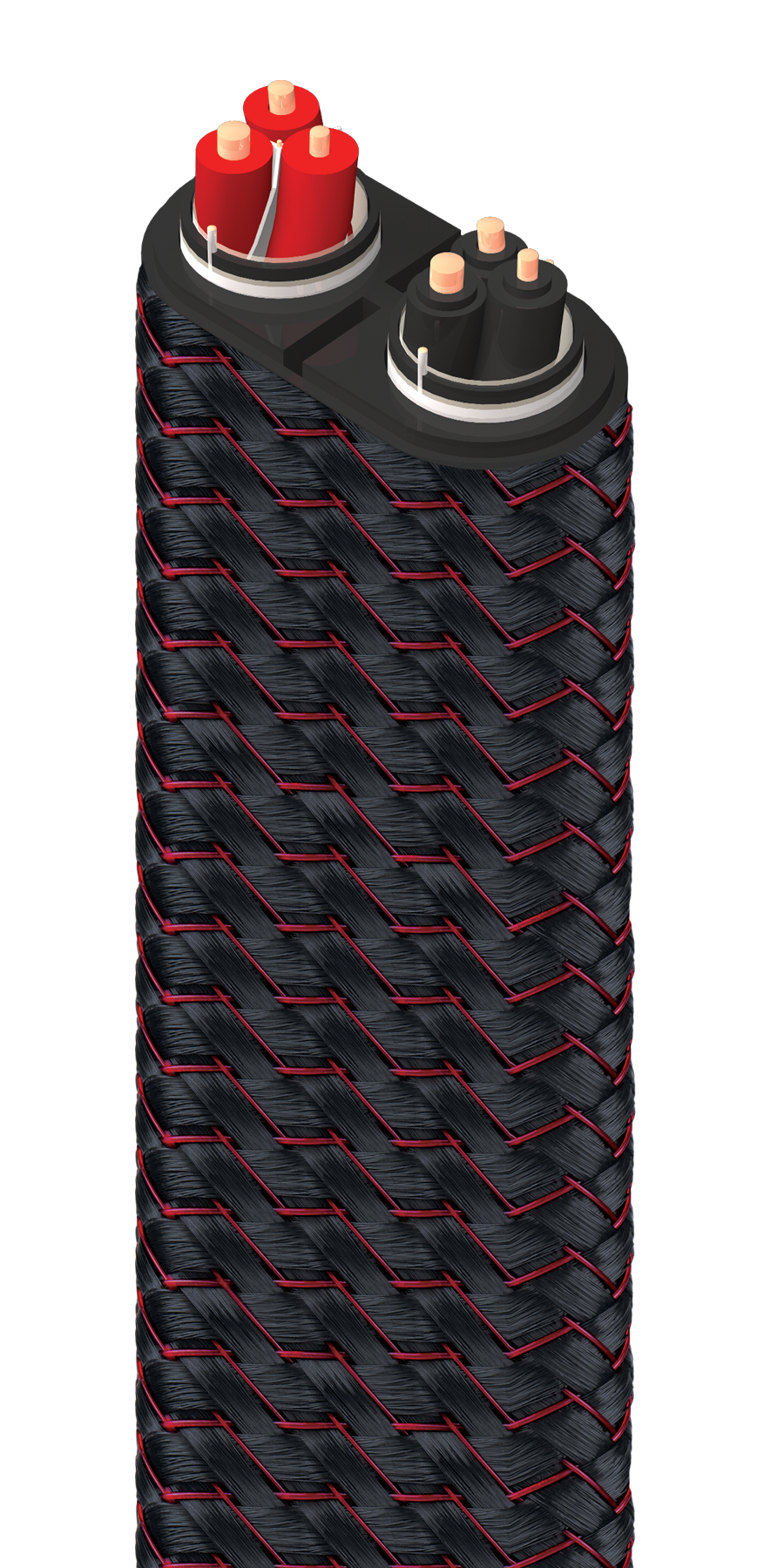 (Exhibición) William Tell Zero + Bass Combo Single-BiWire 3 Metros AudioQuest