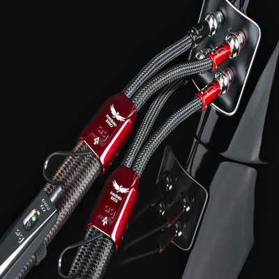 Cable de Parlantes Single-BiWire FireBird Zero + Firebird Bass Combo 2.5M (Par) AudioQuest