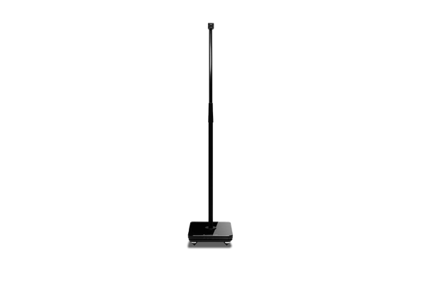 MinxFloorStandBlack1_png_grand