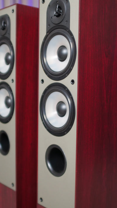 Paradigm Parlantes Monitor 7 V2 PAR (USADOS)