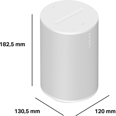 Sonos Era 100 Parlante Inalámbrico