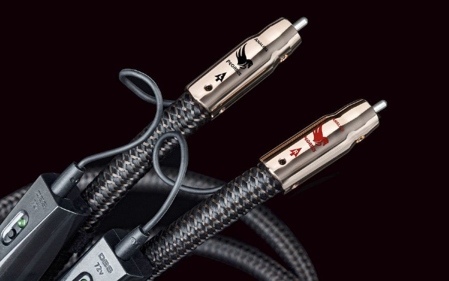 Pegasus RCA-RCA PSC+ DBS AudioQuest – HiFi