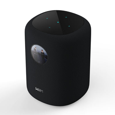 Parlante Wiim Sound Wifi Bluetooth