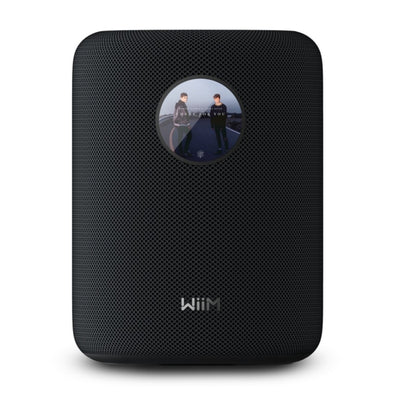 Parlante Wiim Sound Wifi Bluetooth