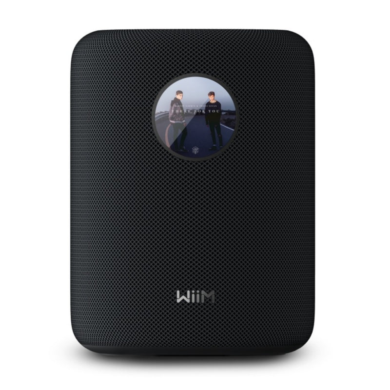 Parlante Wiim Sound Wifi Bluetooth