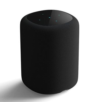 Parlante Wiim Sound Wifi Bluetooth