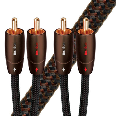 Big Sur RCA-RCA AudioQuest